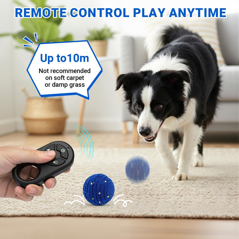 PETSWEET bounce-mode dog toy image emphasizes fast, energetic play sessions.