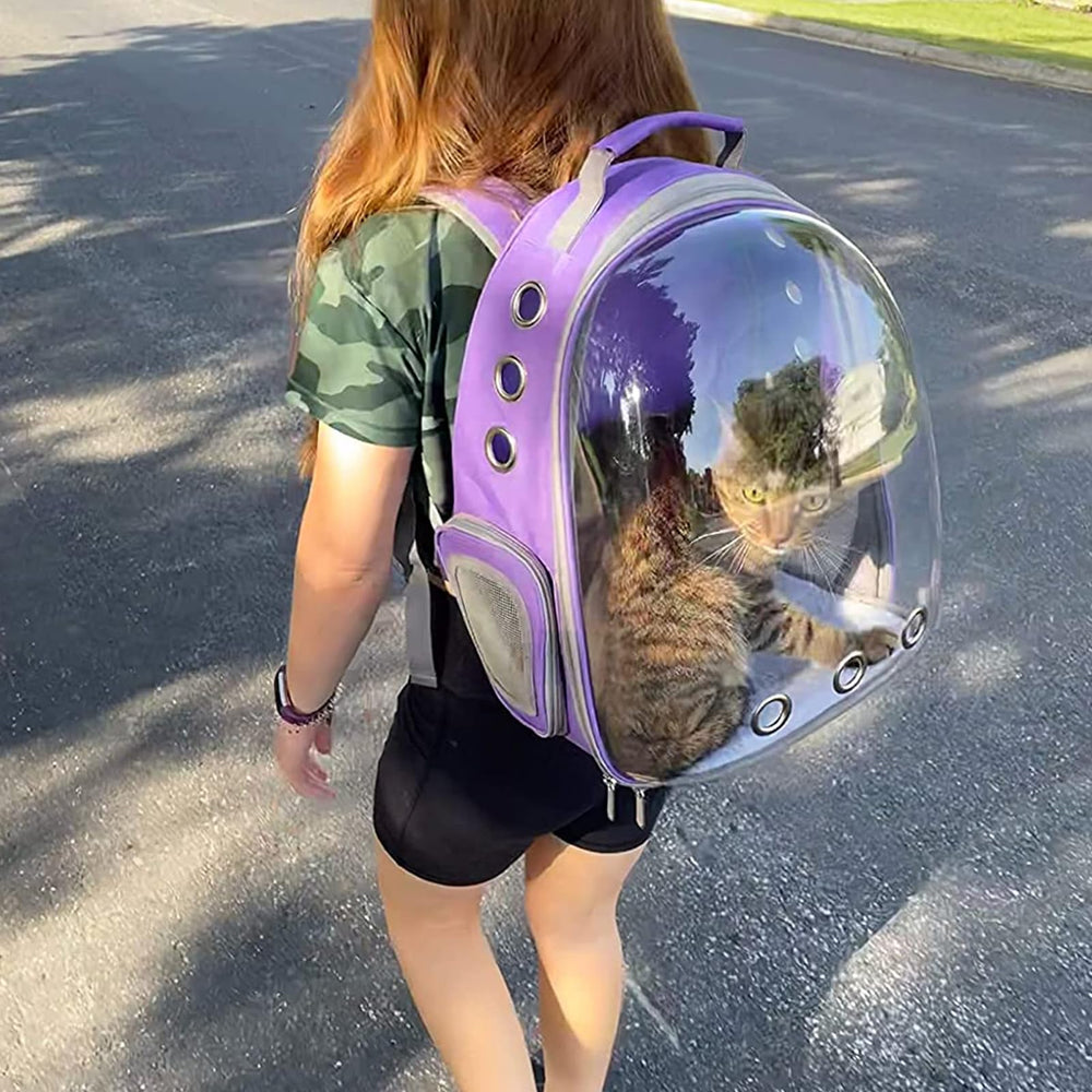 PETSWEET Cat Backpack Carrier airline-approved design supports travel convenience.
