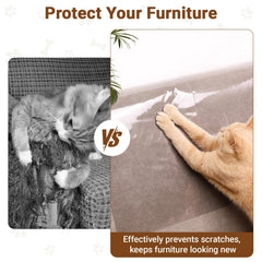 PETSWEET clear protector applied to sofa helps guard against scratches without altering decor.