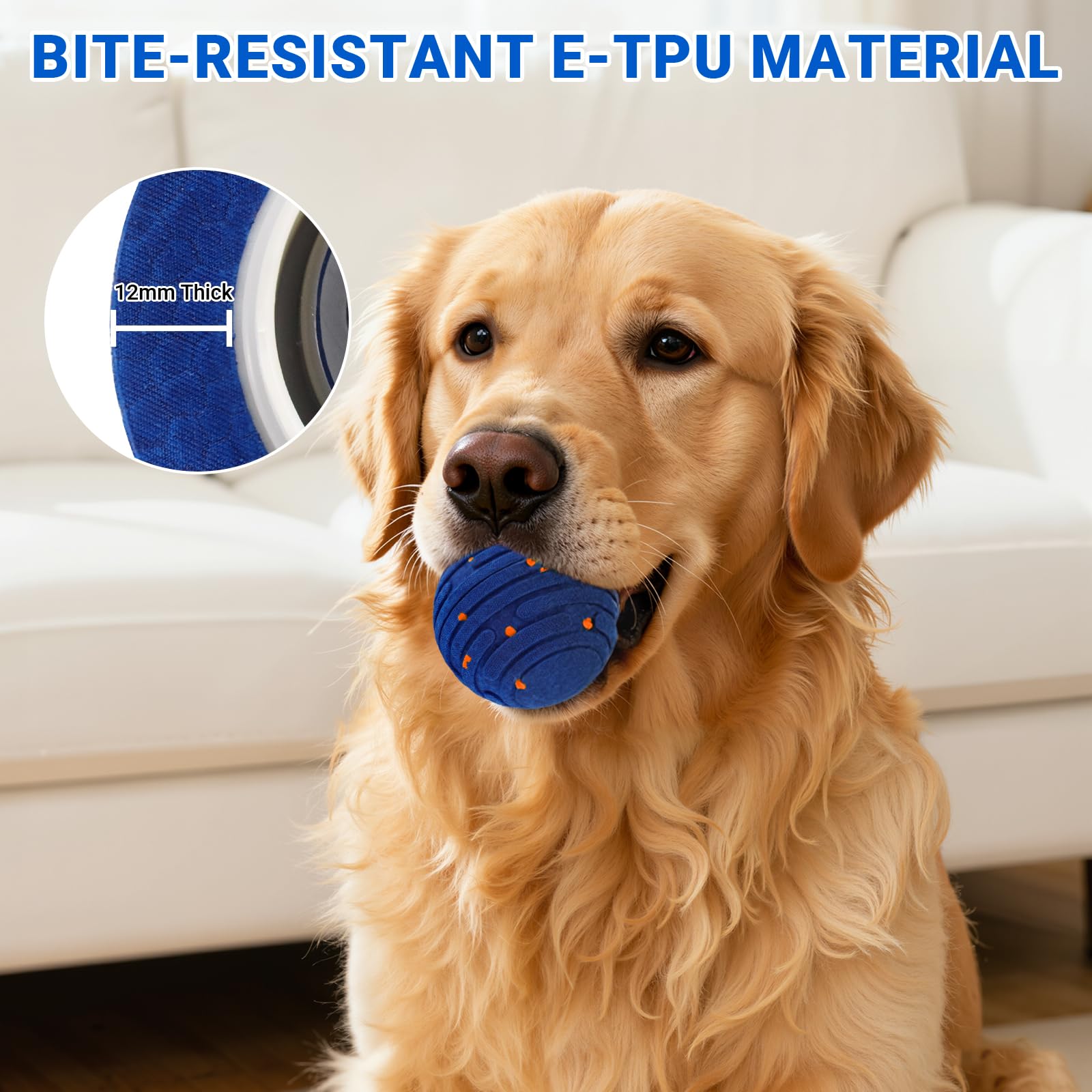 PETSWEET jump mode activated for playful leaps and interactive surprises.