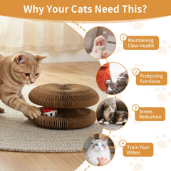 PETSWEET Magic Organ honeycomb cardboard detail highlights durable, eco-friendly design for indoor use.