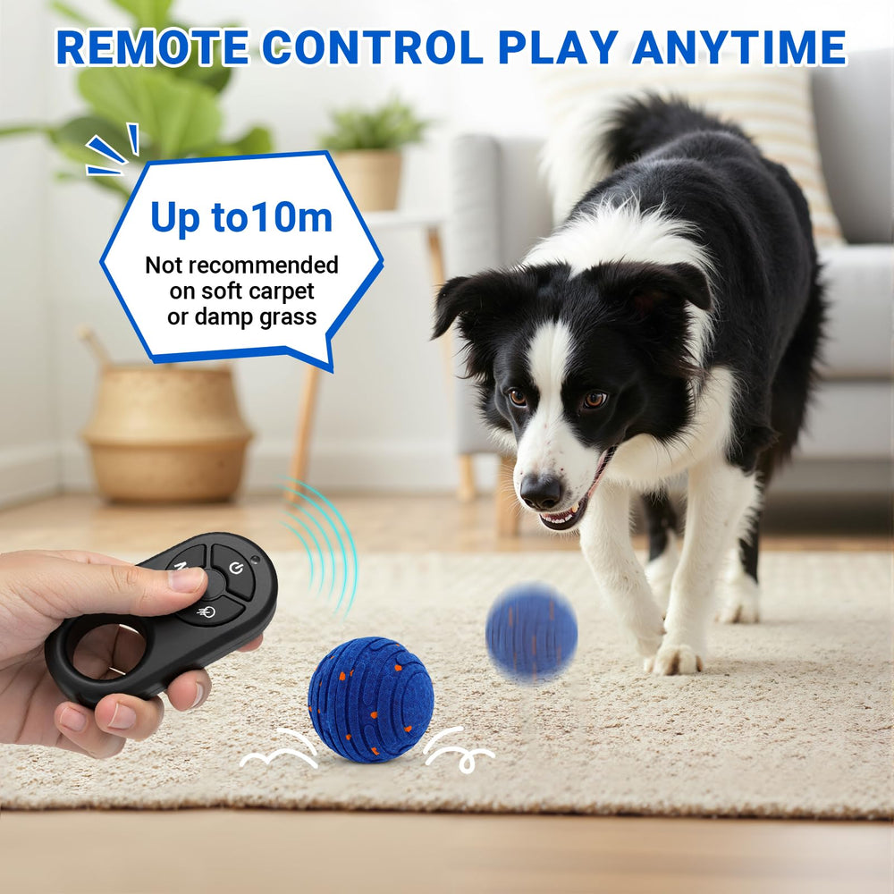 PETSWEET slow bounce mode for calmer chase and scent exploration with dogs.
