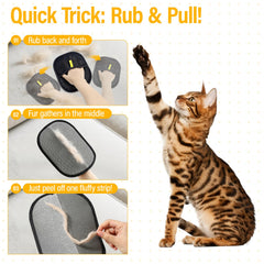 PETSWEET washable-reusable-pet-hair-glove highlights sustainable cleanup.
