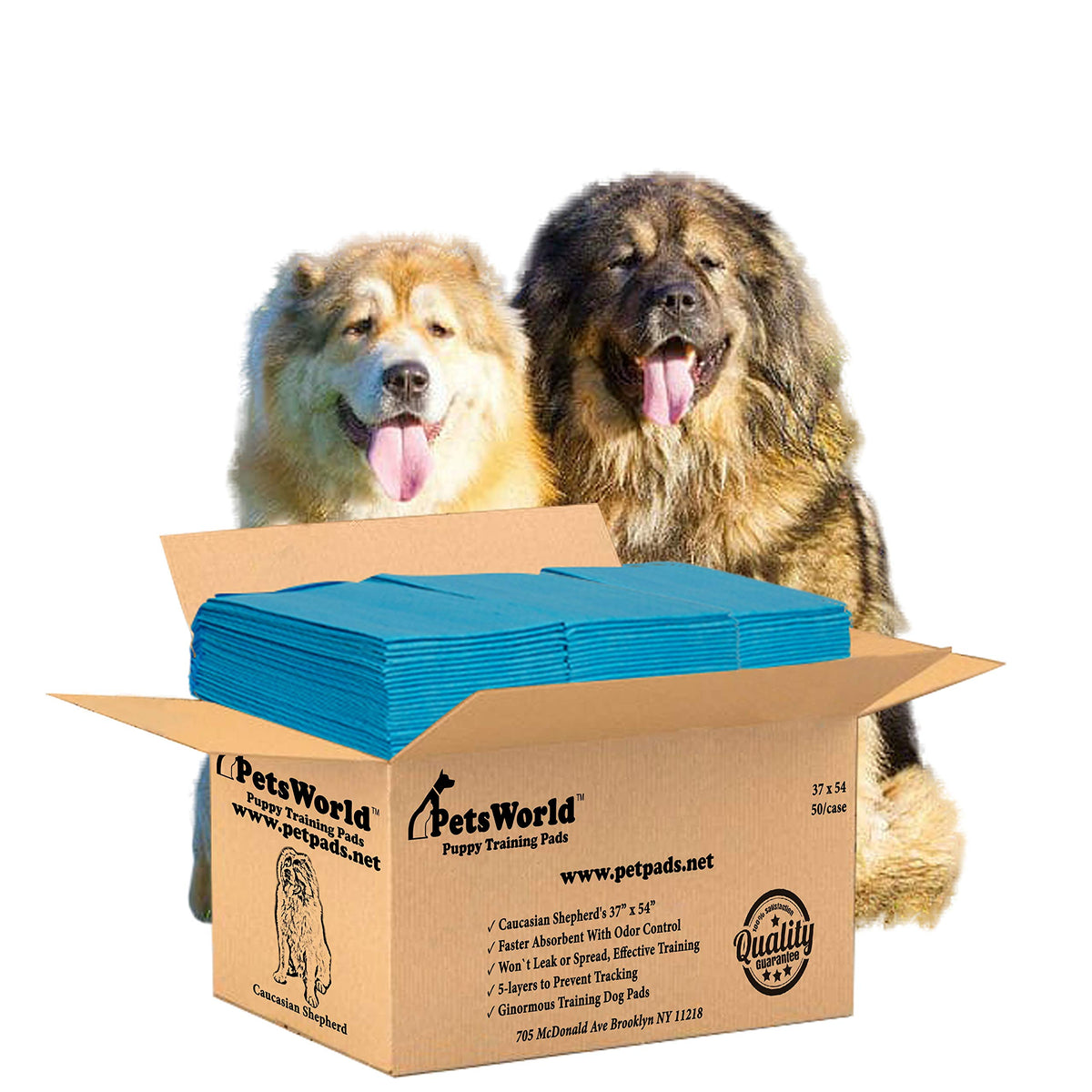 PETSWORLD enormous dog training potty pad 37x54 inches laid out for large breeds keeps floors dry.