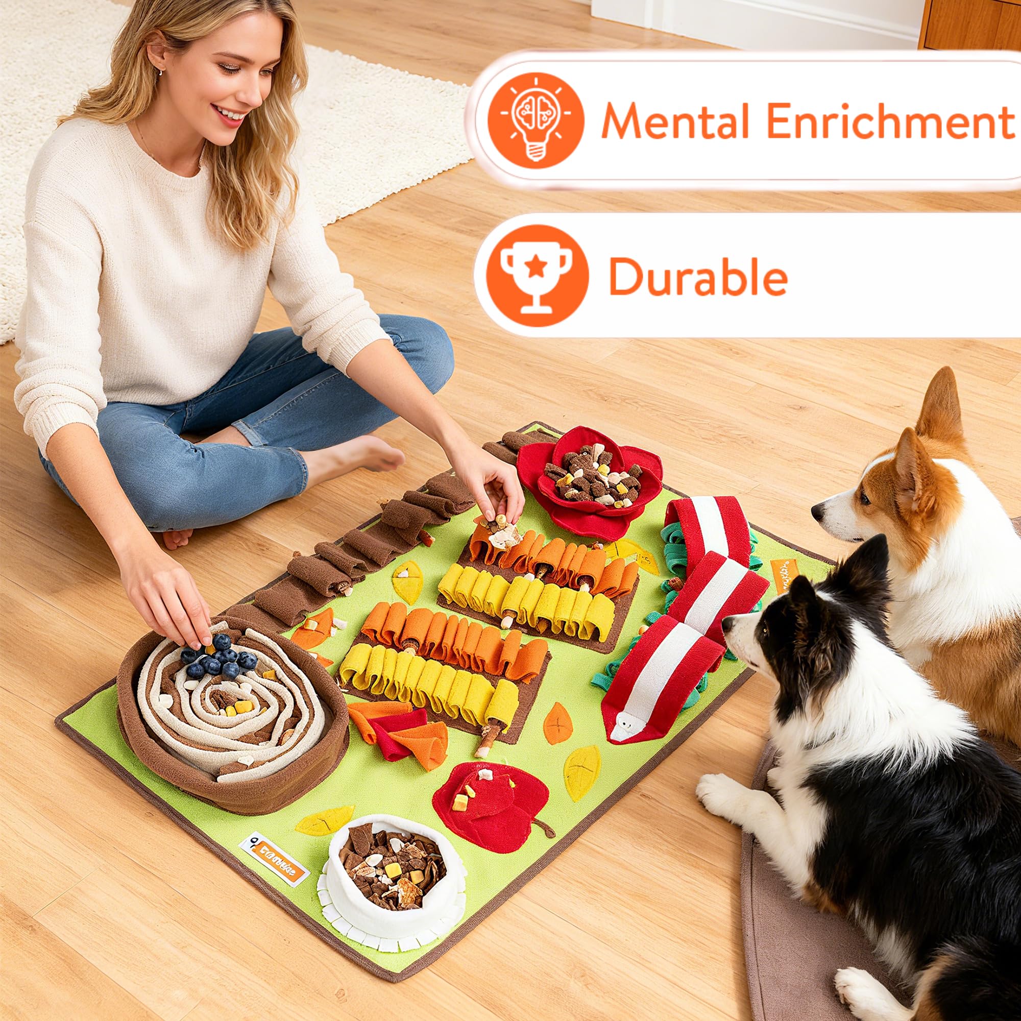 Pettain Snuffle Mat indoor play session promotes focused energy release