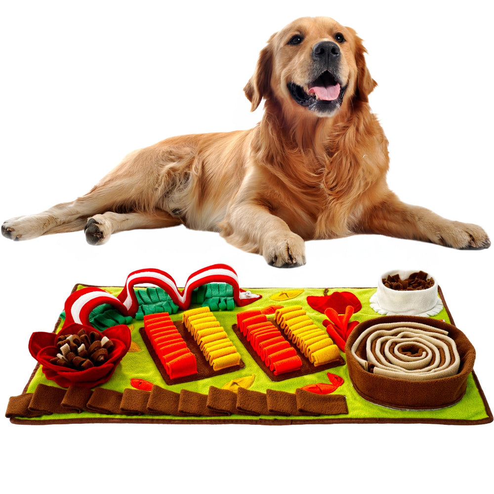 Pettain Snuffle Mat setup shows 32x20 layout for enrichment