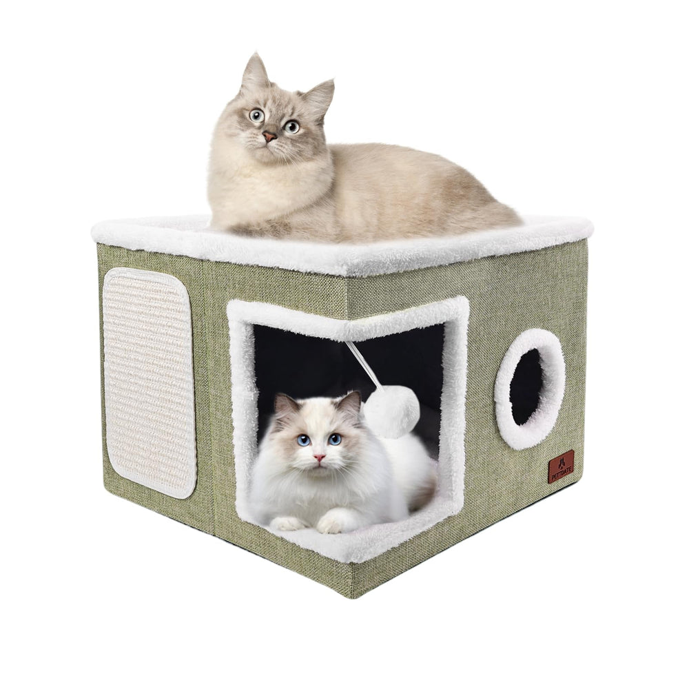 PETTDATE cat bed open top platform offers roomy lounging for indoor cats