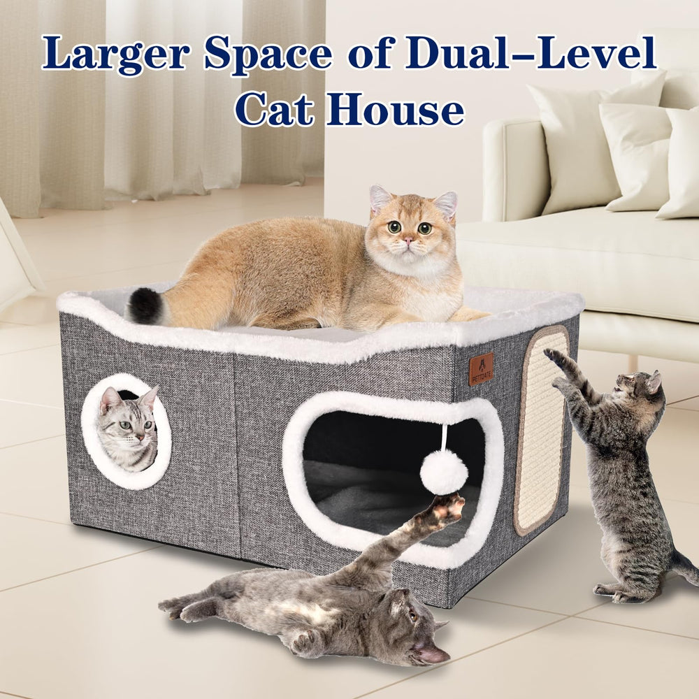 PETTDATE round windows and hanging toy balls spark playful exploration.