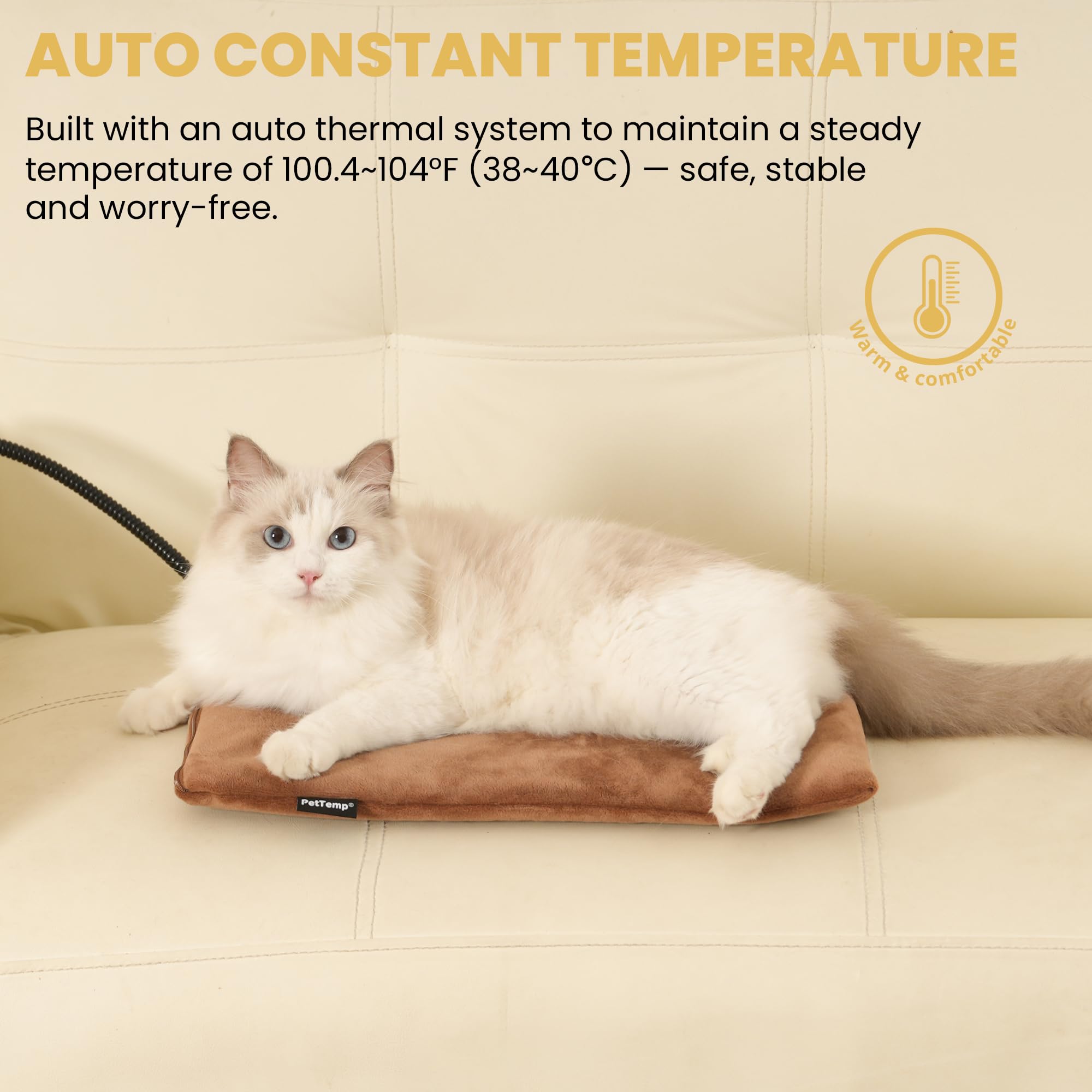 PetTemp heated pad indoors demonstrates safe warmth for cats and dogs.