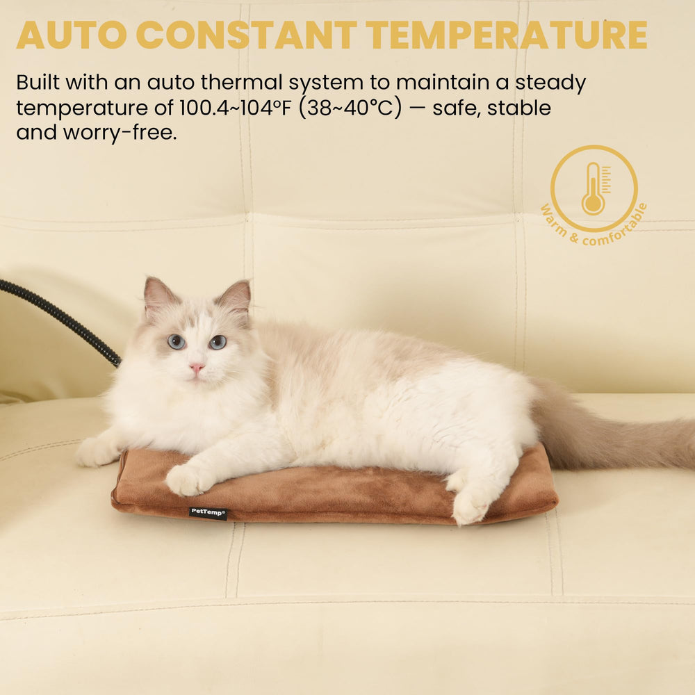 PetTemp heated pad indoors demonstrates safe warmth for cats and dogs.