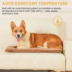 PetTemp heated pad waterproof layer demonstrates durable, safe warmth indoors.