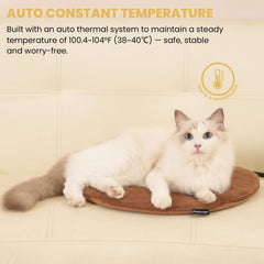 PetTemp heated pad showing chew-resistant cord for safer pet use.