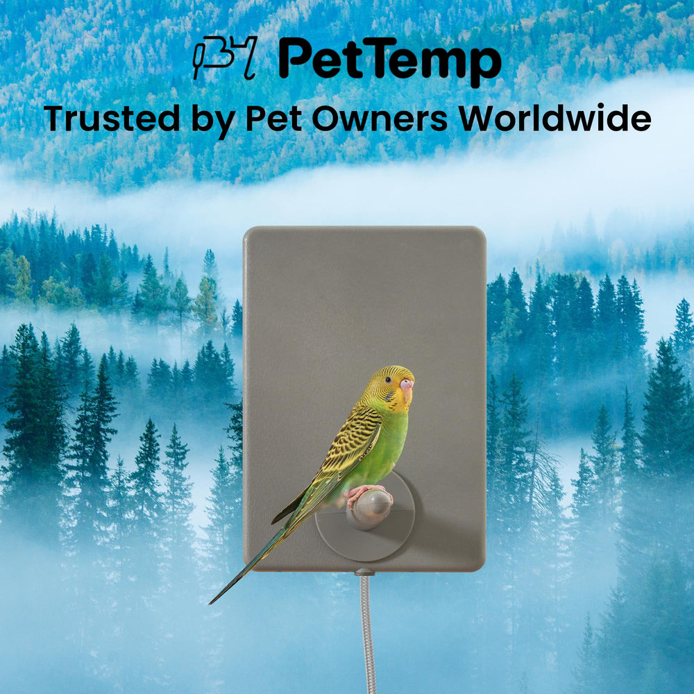 PetTemp winter-comfort-use shows versatile warmth for birds during cold seasons