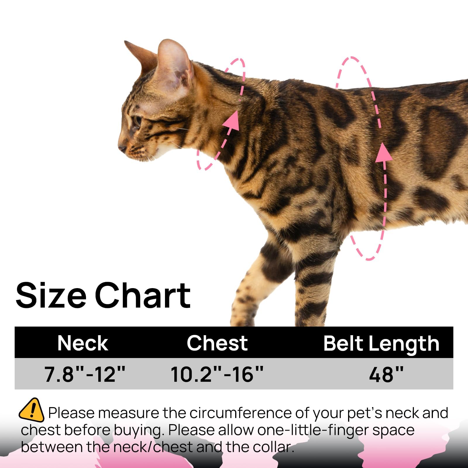 PetThem Quick-release ABS buckle provides easy on/off.