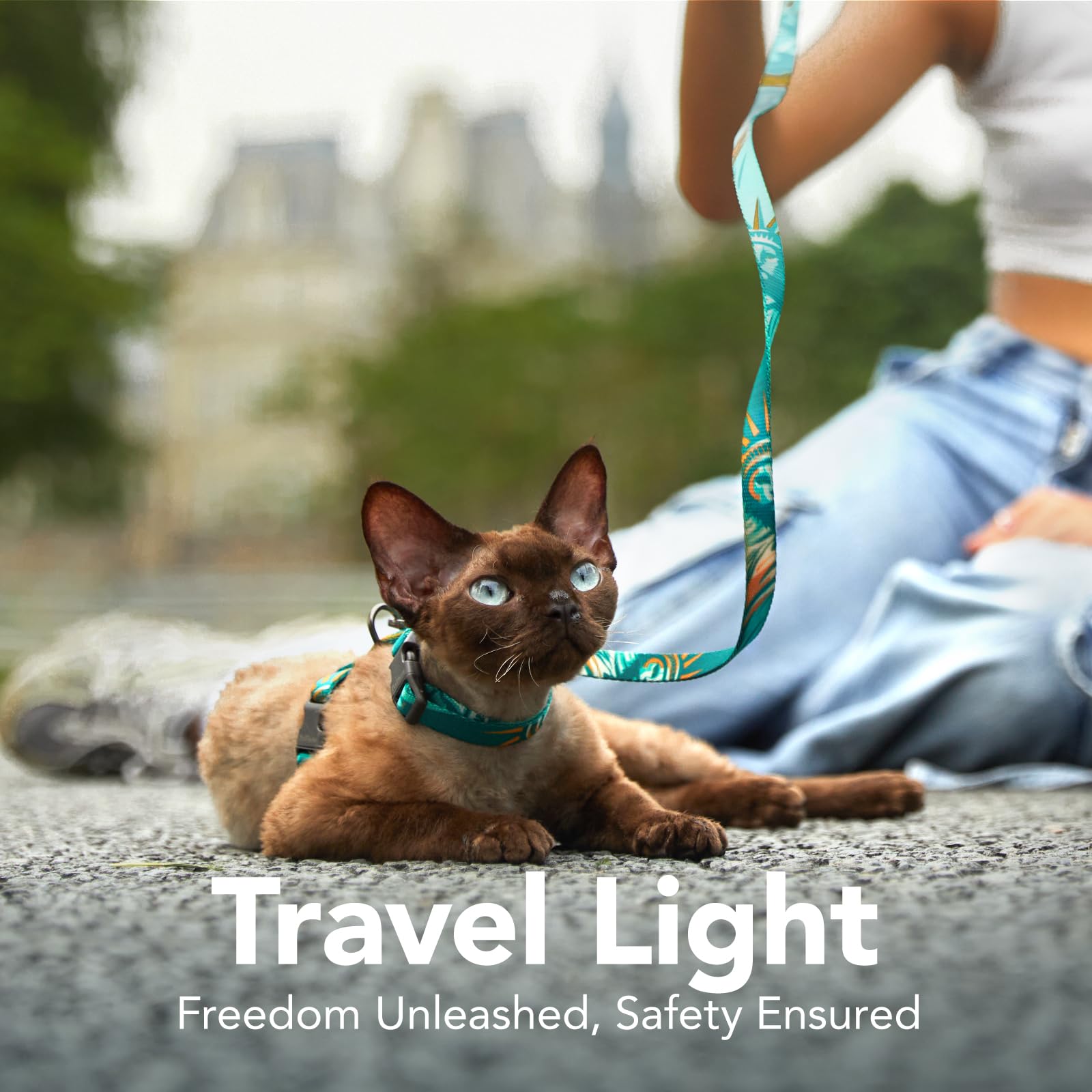 PetThem cat harness comfortable soft breathable fabric for all-day wear.
