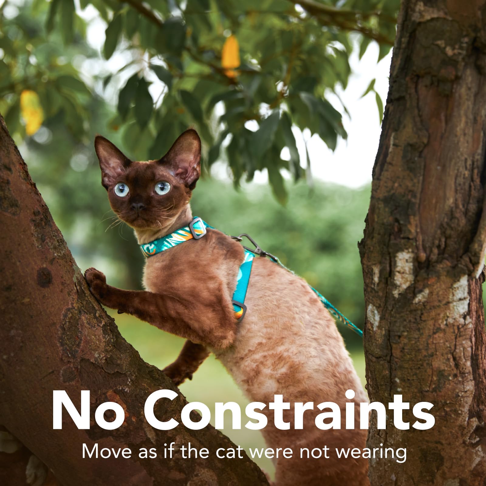 PetThem harness features stainless steel D-rings for secure leash.