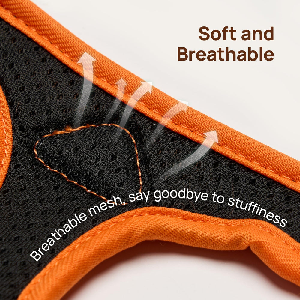 PetThem Leash Clip Top-Bottom Opening enables quick leash attachment.