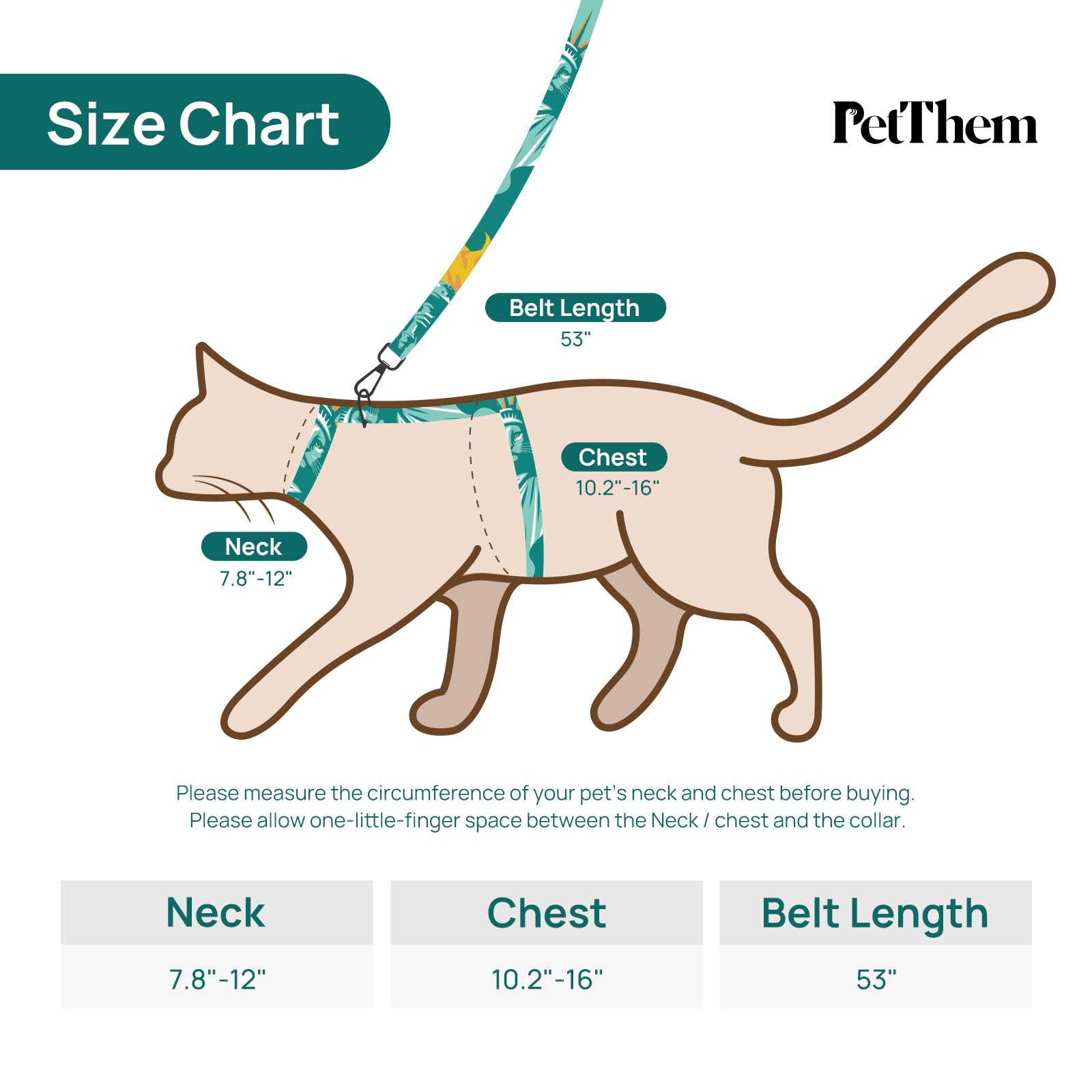 PetThem walking travel kit lets cats explore safely.