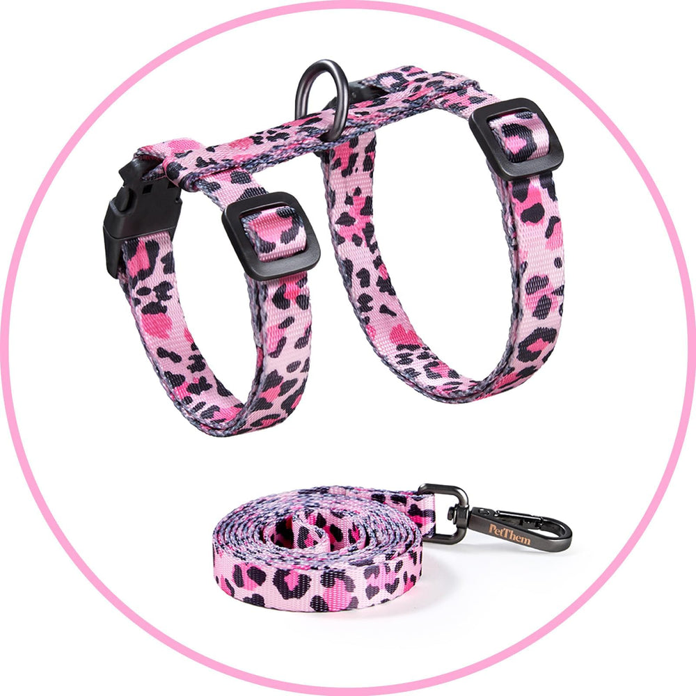 PetThem Cat Wearing Harness outdoors showing travel-ready setup.