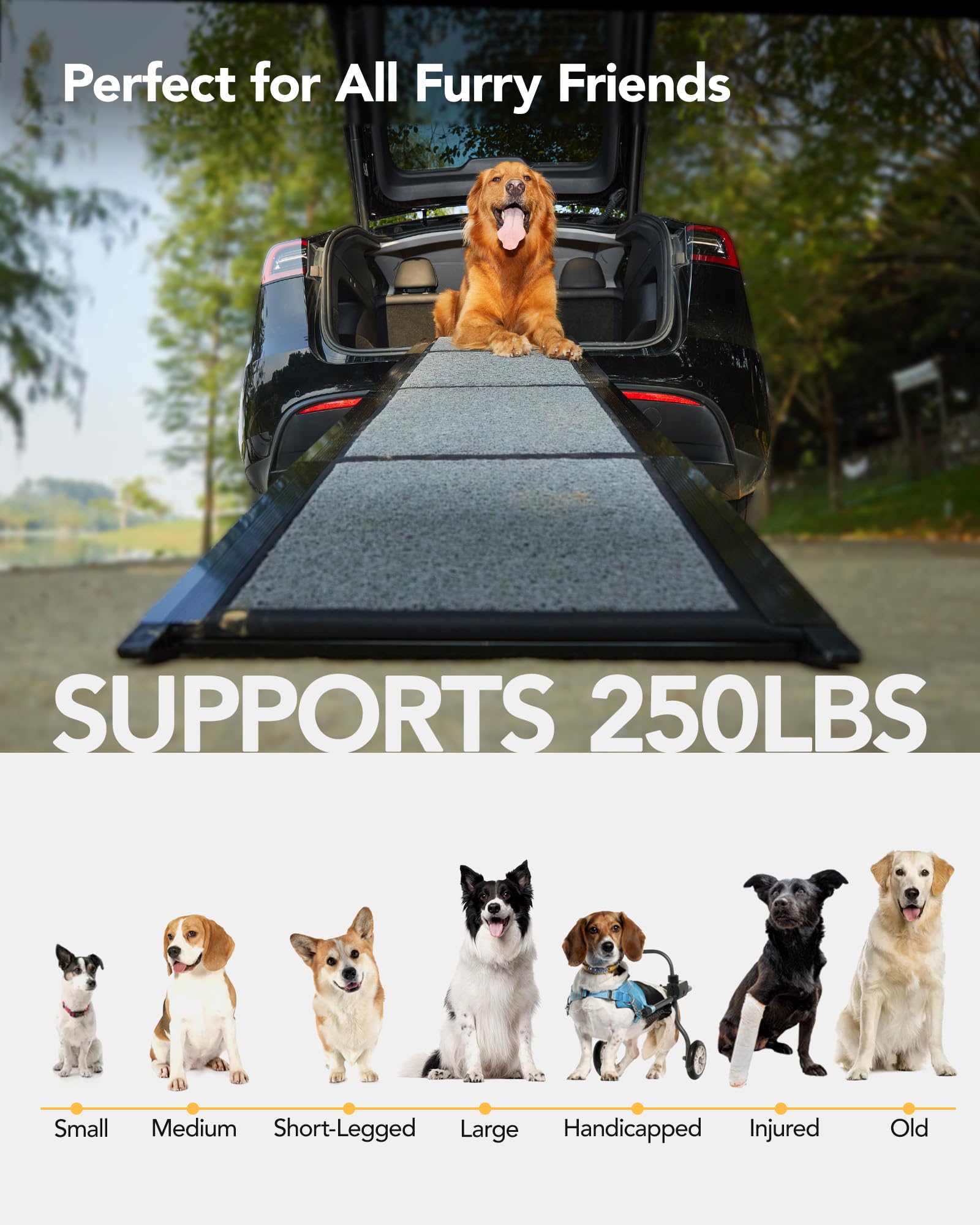 PetThem Dog Ramp supports up to 250 lbs for versatile use.