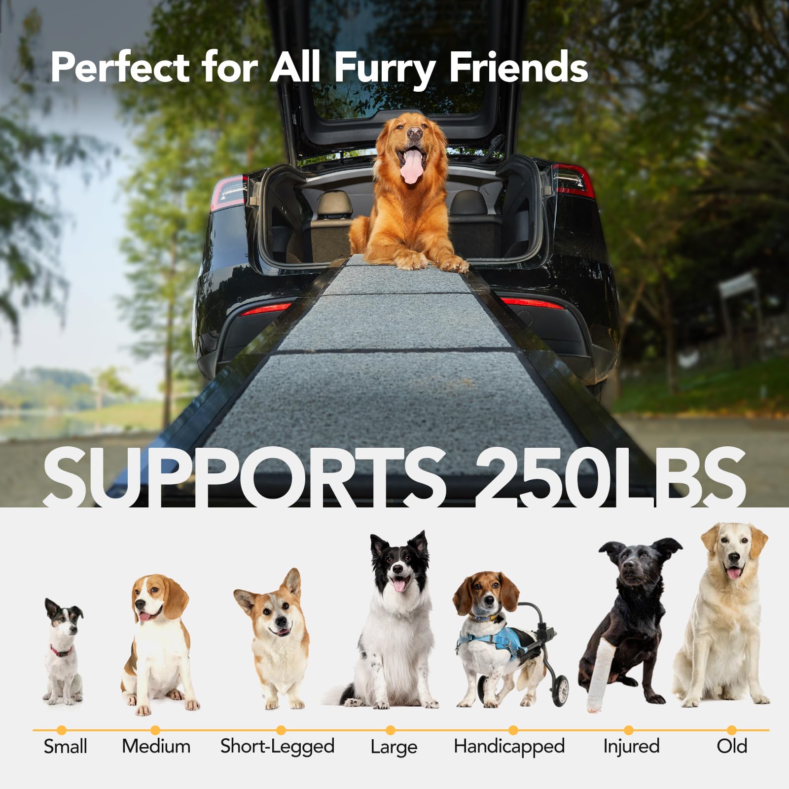 PetThem dog ramp's lightweight design with handle enhances portability