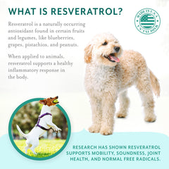 PetThrive bacon-flavored chews close-up emphasize tasty daily joint care