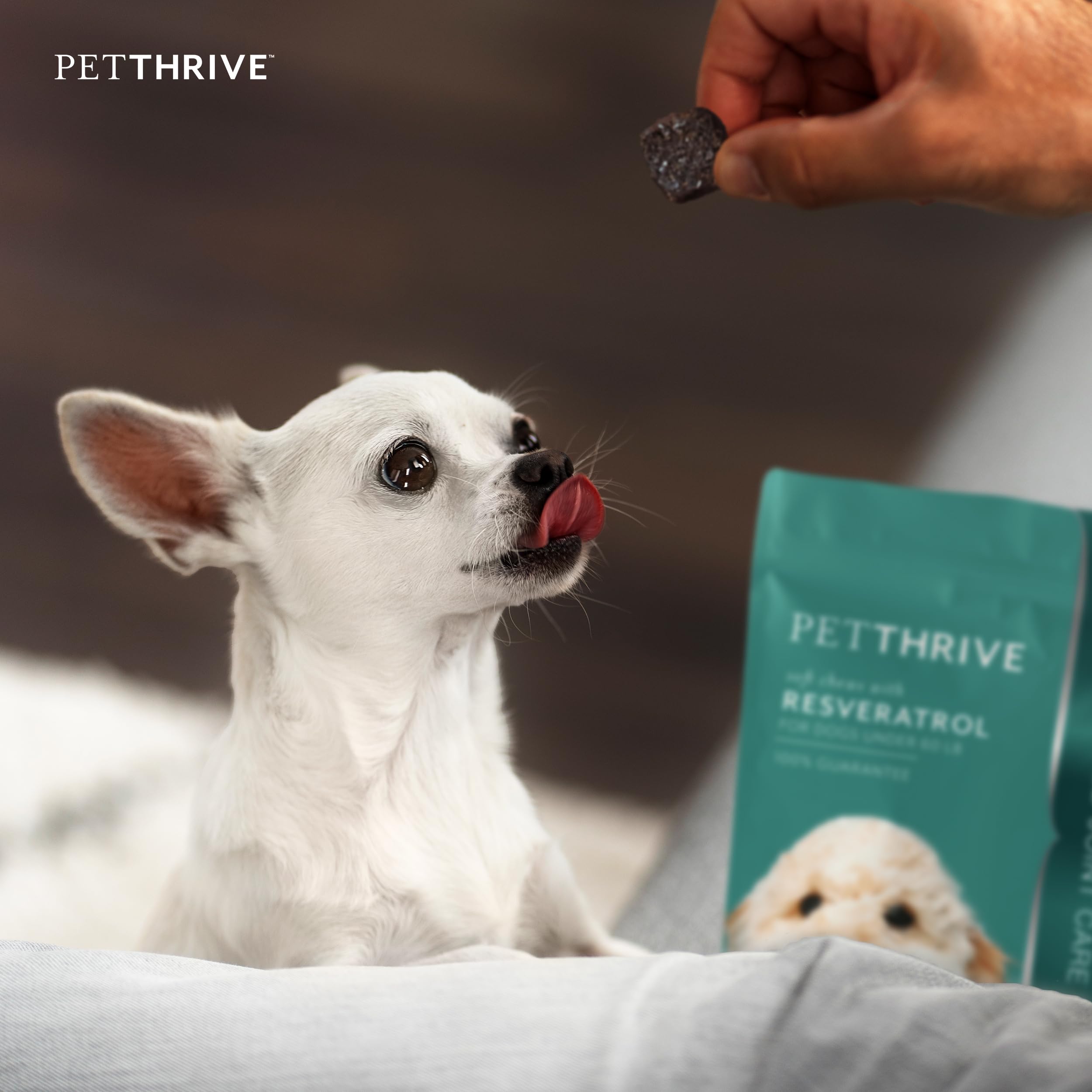 PetThrive resveratrol ingredient graphic on pouch highlights antioxidant support for joints