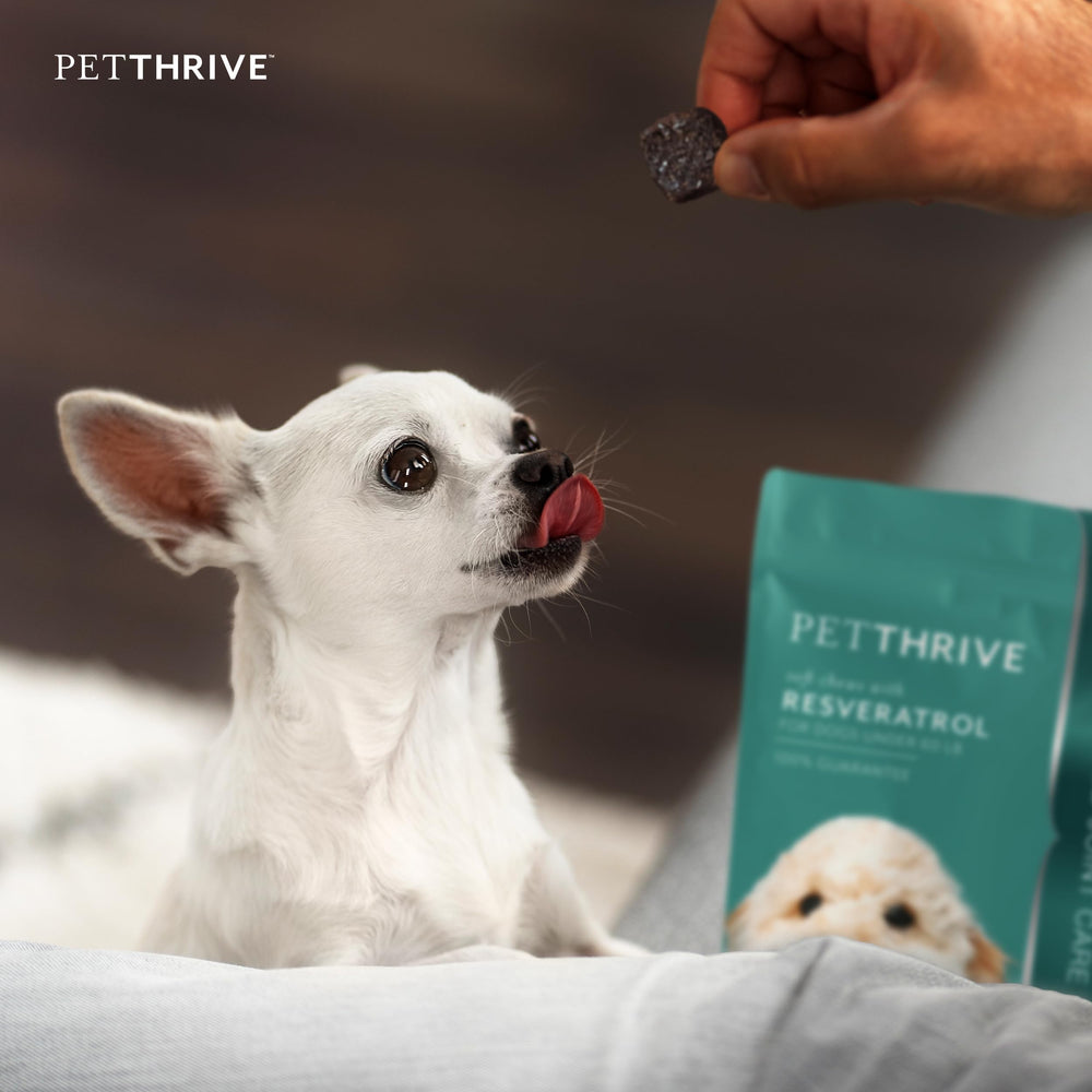 PetThrive resveratrol ingredient graphic on pouch highlights antioxidant support for joints