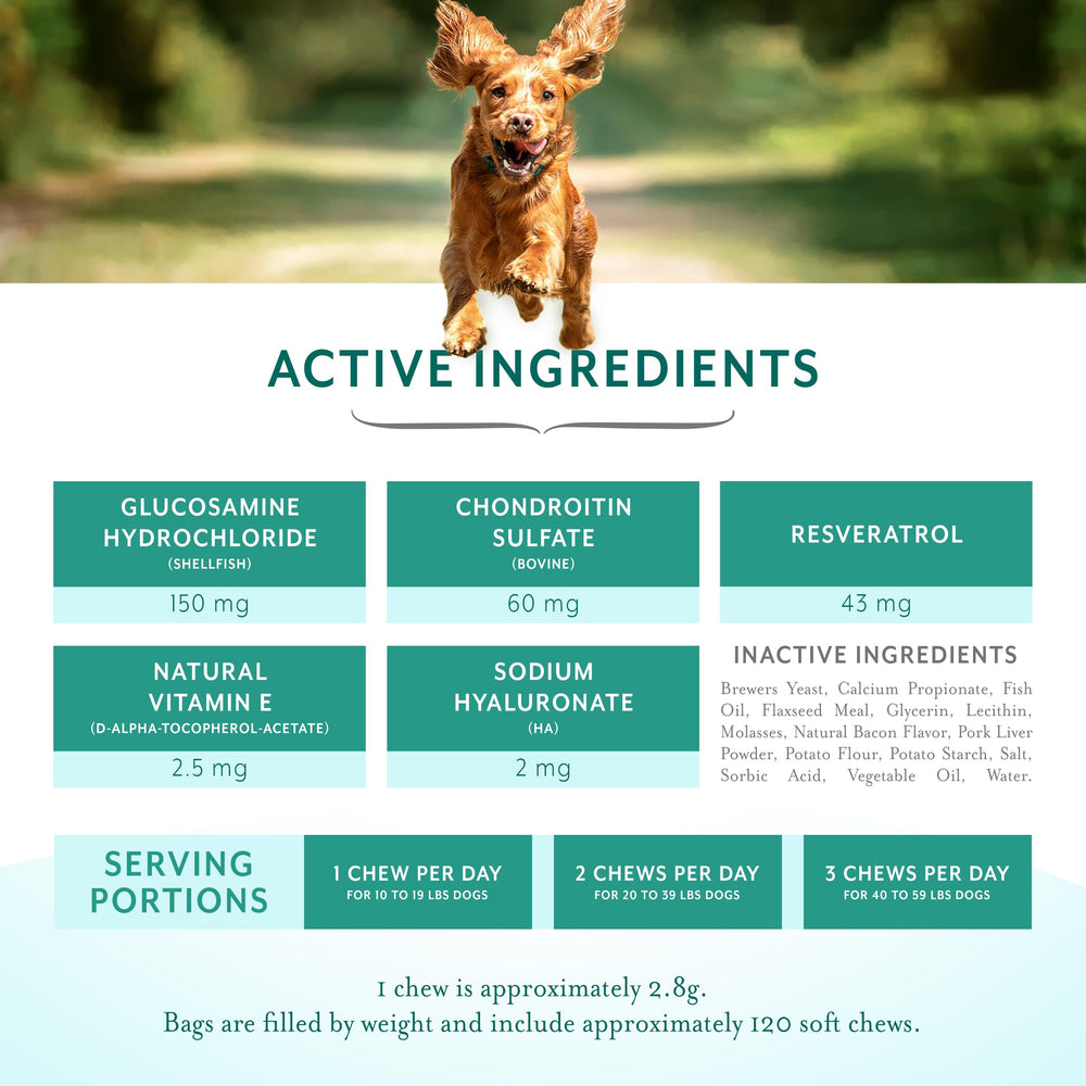 PetThrive Soft Chews on kitchen counter with dog sniffing promotes daily mobility
