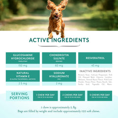 PetThrive Soft Chews on kitchen counter with dog sniffing promotes daily mobility
