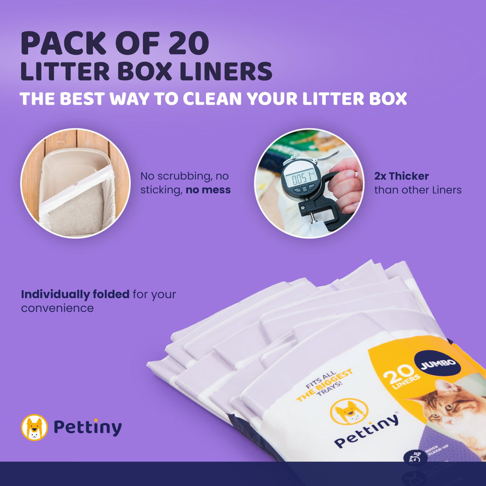 Pettiny recycled-materials packaging signals eco-friendly pet care.