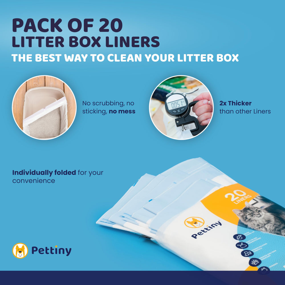 Pettiny recycled-materials liner demonstrates eco-friendly pet care without sacrificing strength.