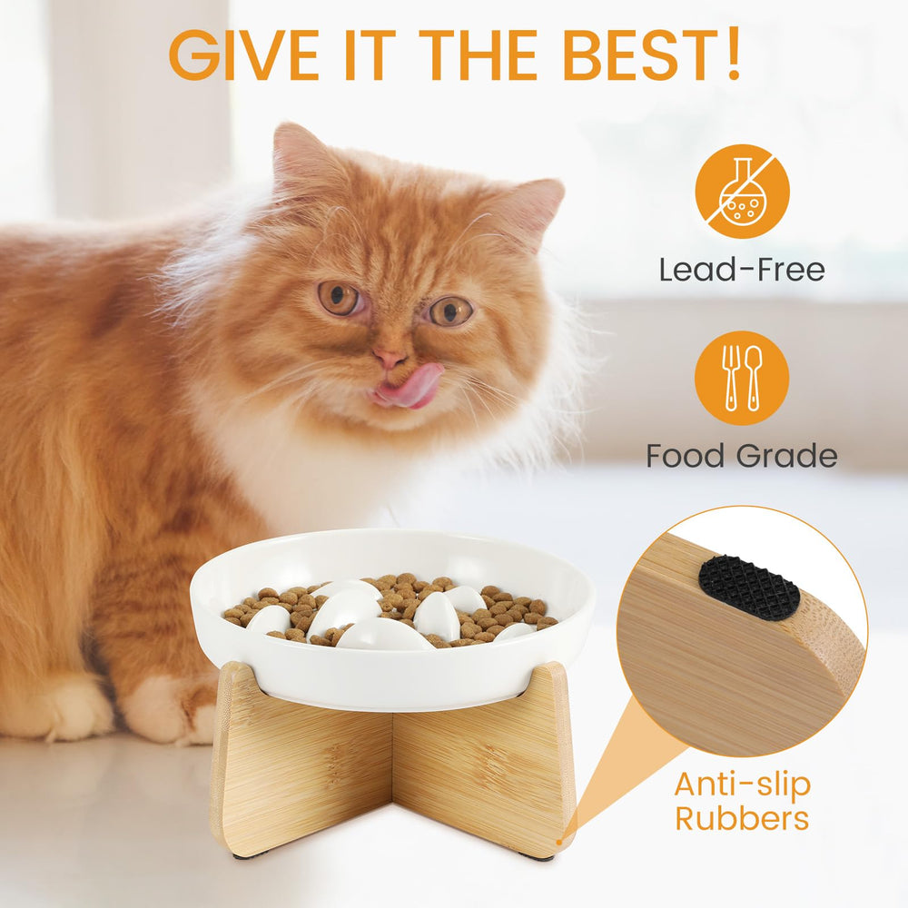 PETTOM 2-8cm rim bowl contains food during feeding sessions