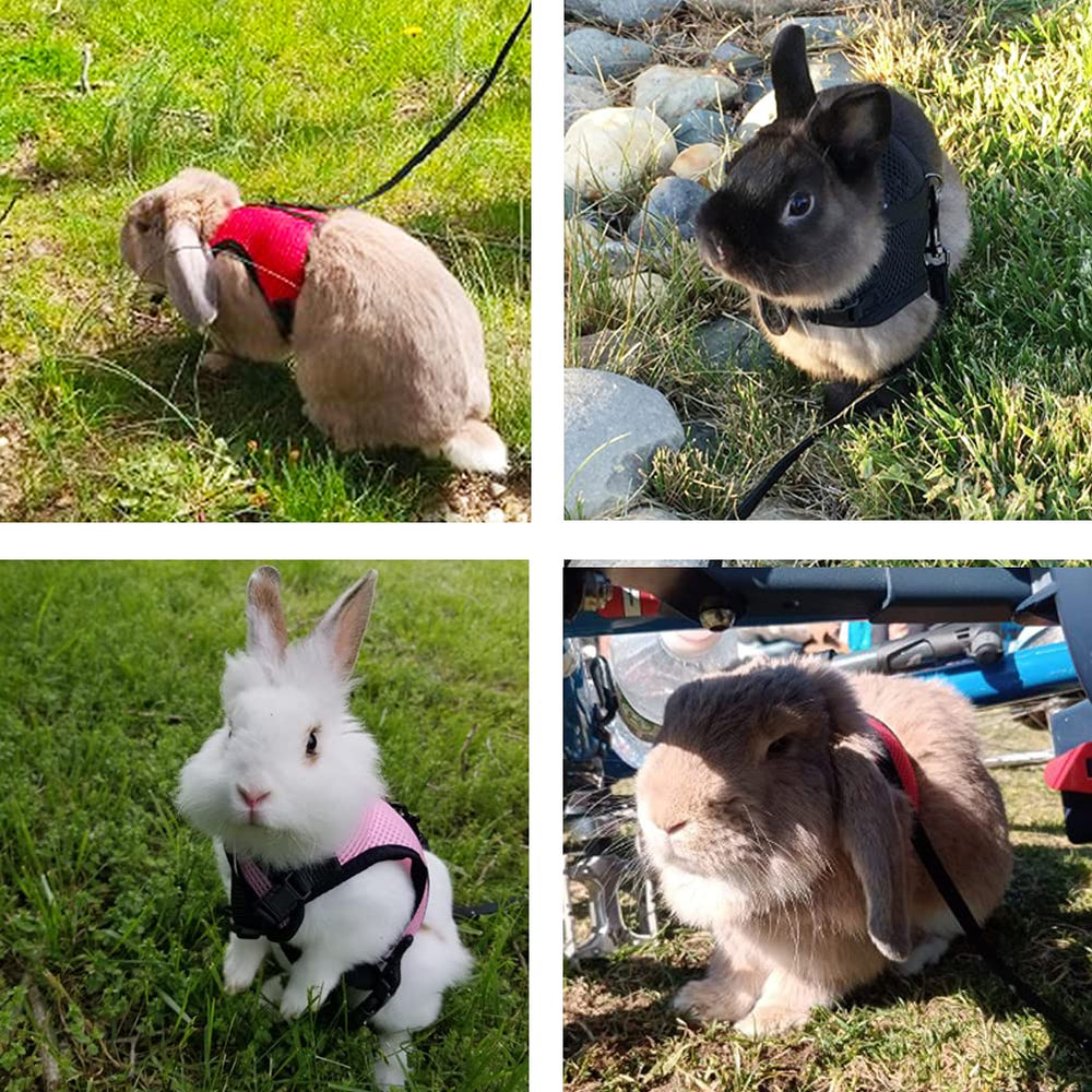 PETTOM bunny-harness-lightweight-compact design travels easily in a bag.