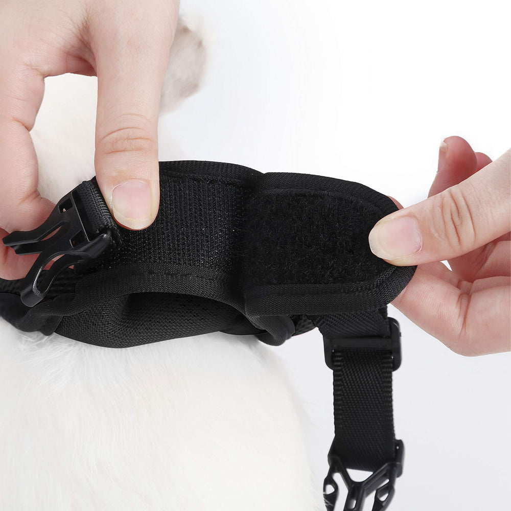 PETTOM bunny-harness-pink-walk-ready supports safe outdoor exploration for small pets.