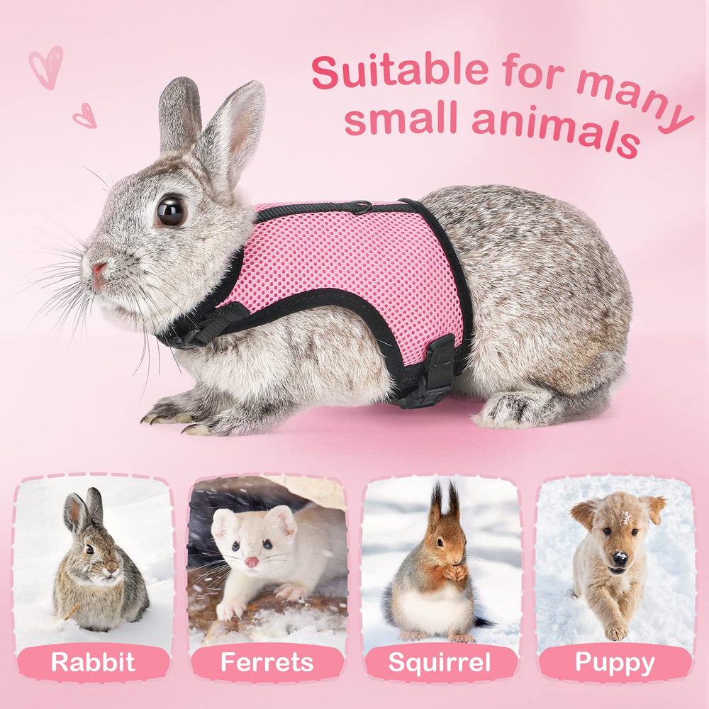 PETTOM bunny leash extendable 120-200cm demonstrates flexible roaming