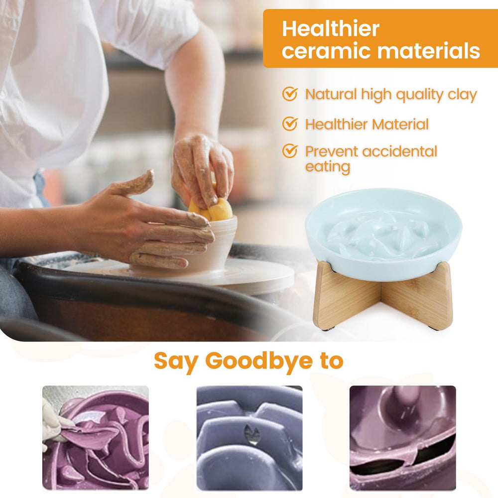 PETTOM ceramic slow feeder bowl with smooth glaze for pet-friendly dining