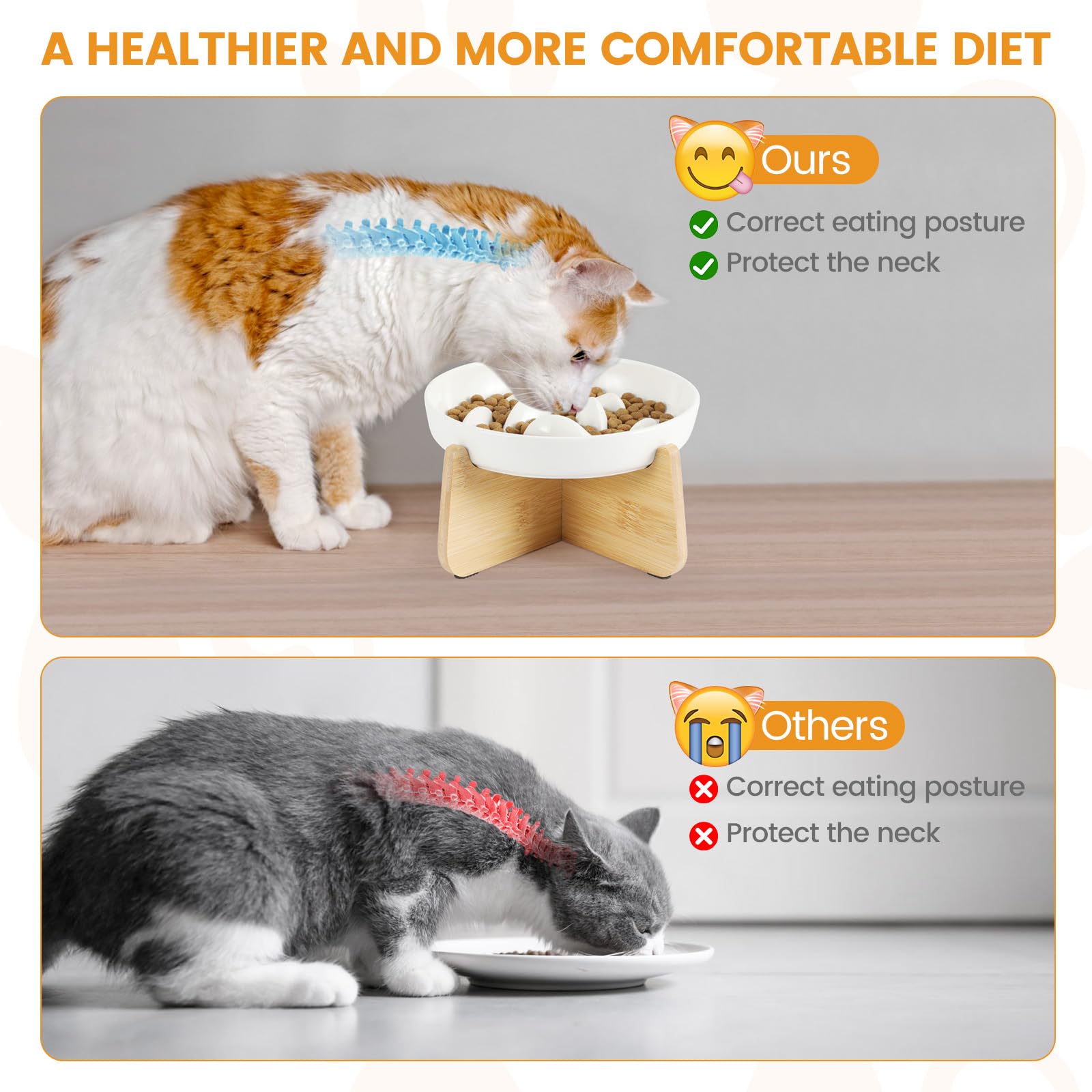 PETTOM dishwasher-safe cat bowl simplifies cleanup after meals