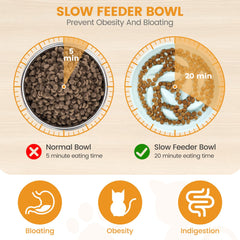 PETTOM elevated cat bowl with 3-inch stand improves neck posture during meals