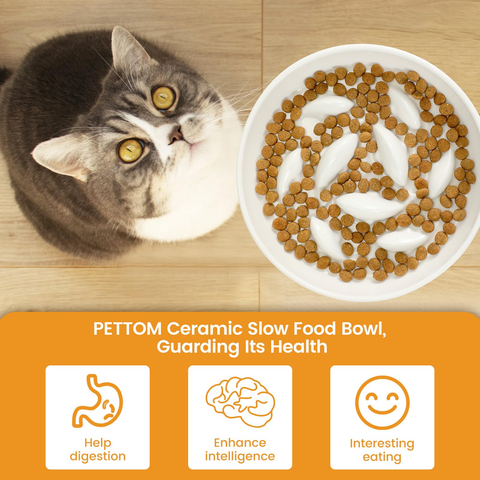 PETTOM elevated stand helps keep feeding area tidy