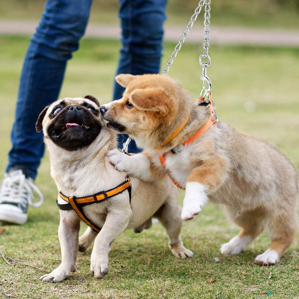 PETTOM 4.0mm diameter lead suitable for medium to large breeds