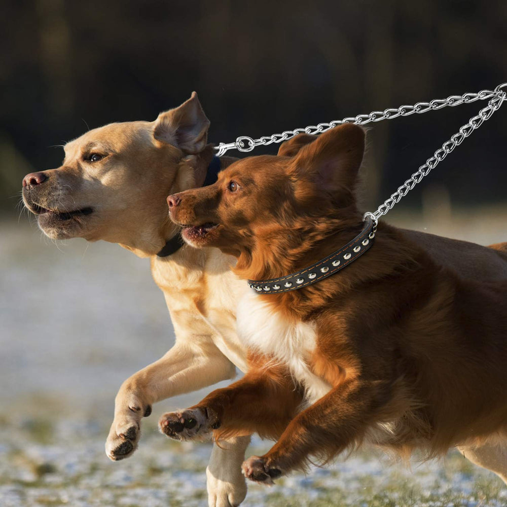 PETTOM pack-ready design ideal for daily dog-walking routines