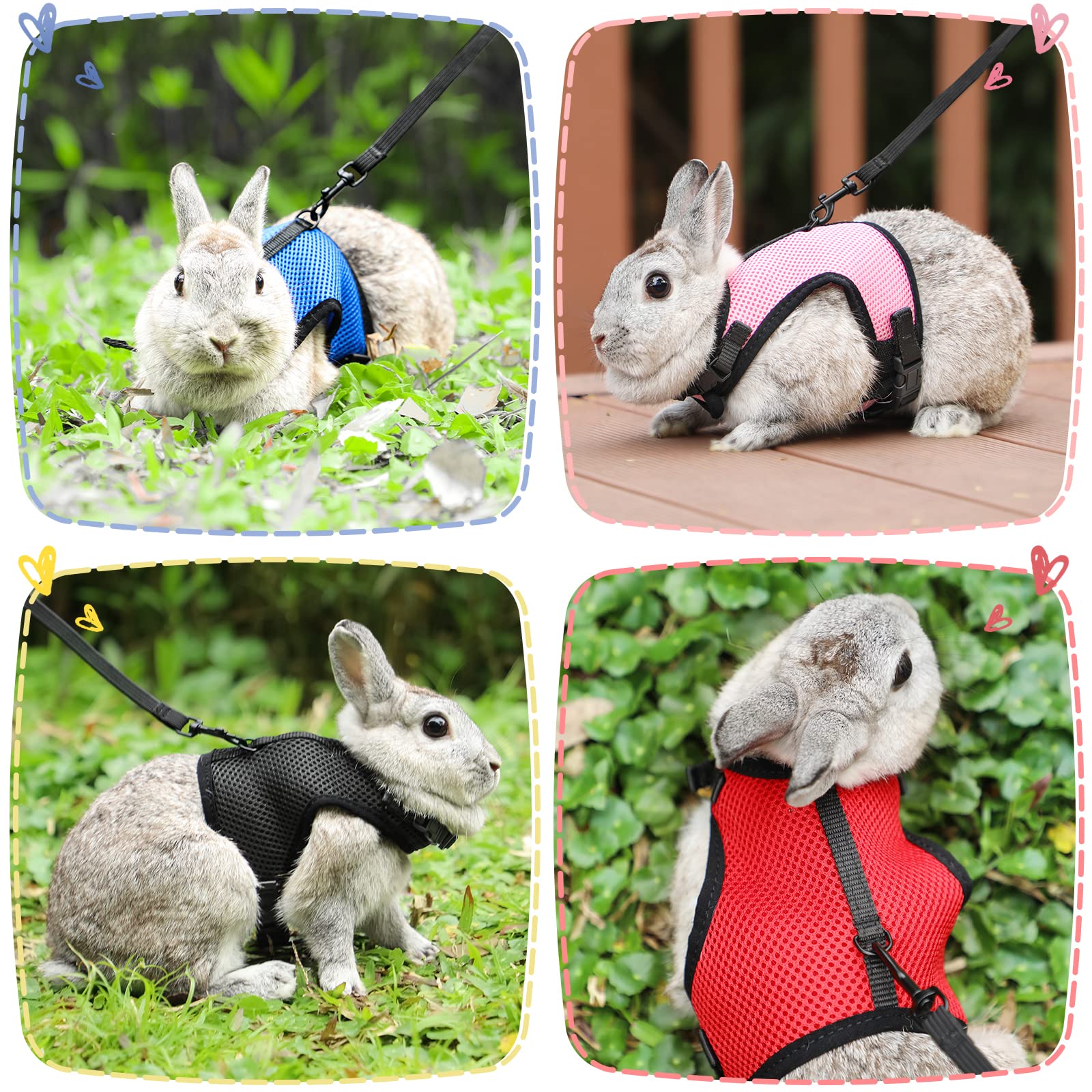 PETTOM-leash-extendable-120cm-200cm provides flexible control during curious explorations.