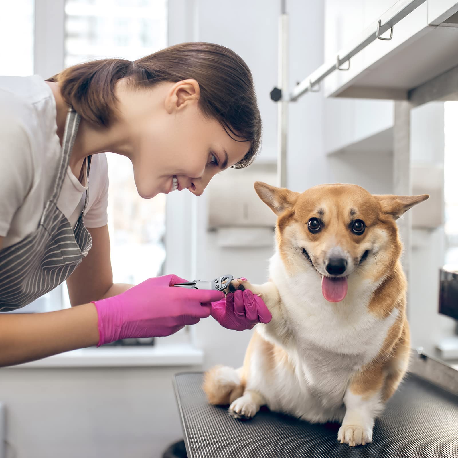 PETTOM gift-ready packaging appeals to pet lovers and grooming beginners