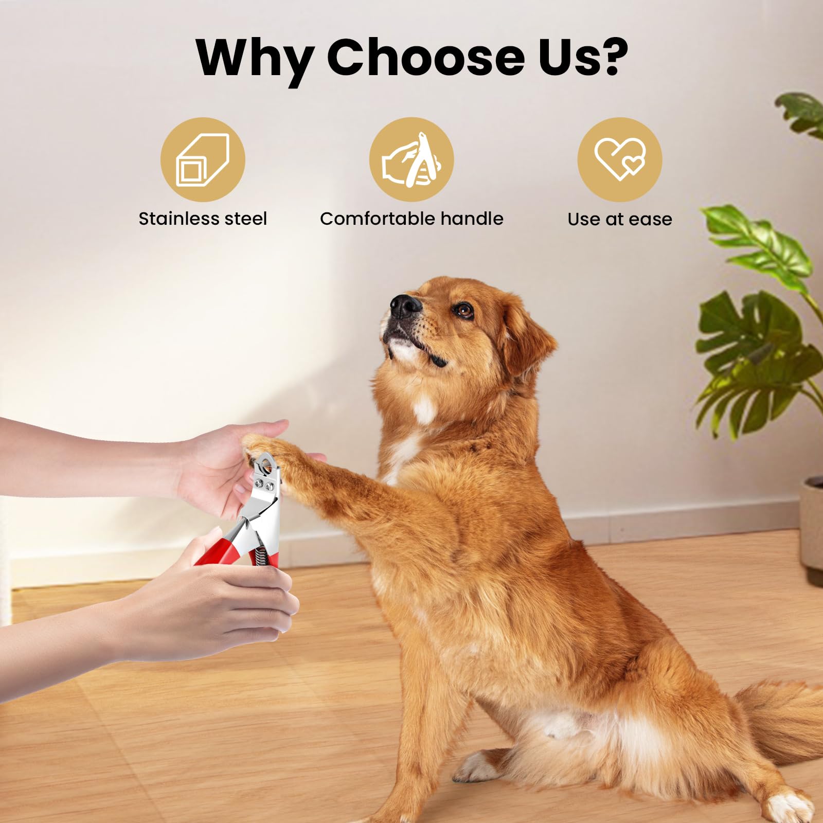 PETTOM ring-blade guard helps set nail length safely