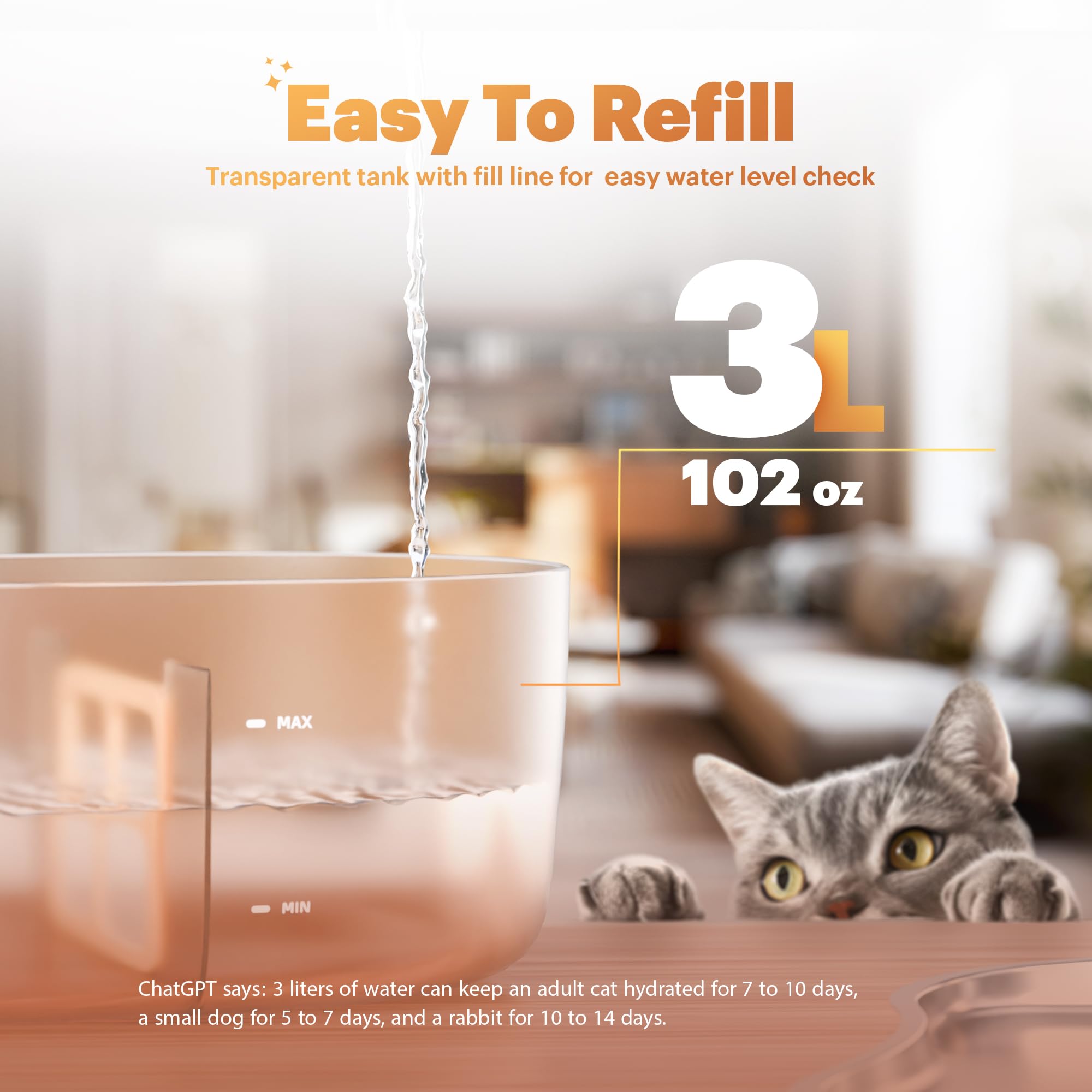 PetTop timer mode dispenses water every 30 minutes for a regular drinking rhythm.