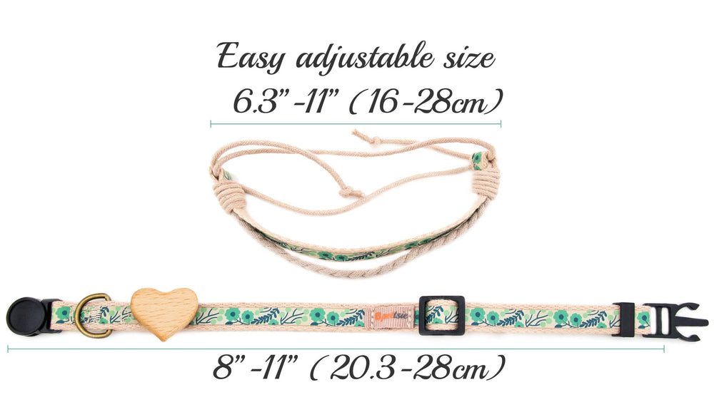 Pettsie collar in eco-friendly gift box ideal for gifting