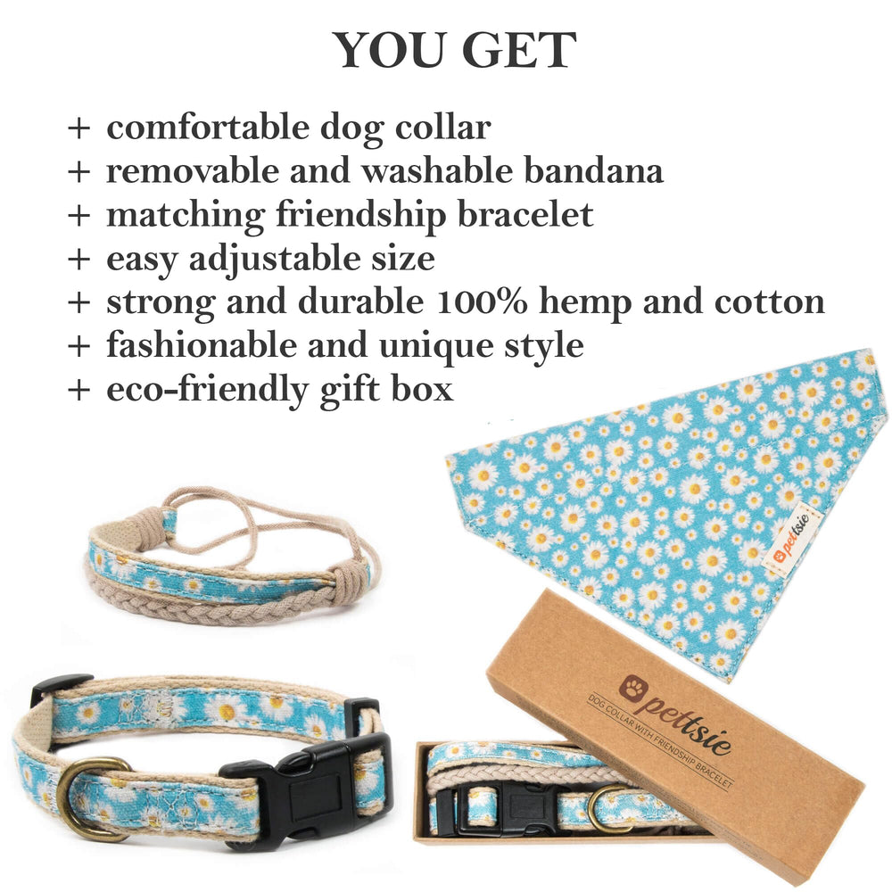 Pettsie gift box turquoise packaging highlights eco-friendly gift-ready presentation.