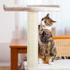 PETUOL M8 screws included for secure cat tree repairs