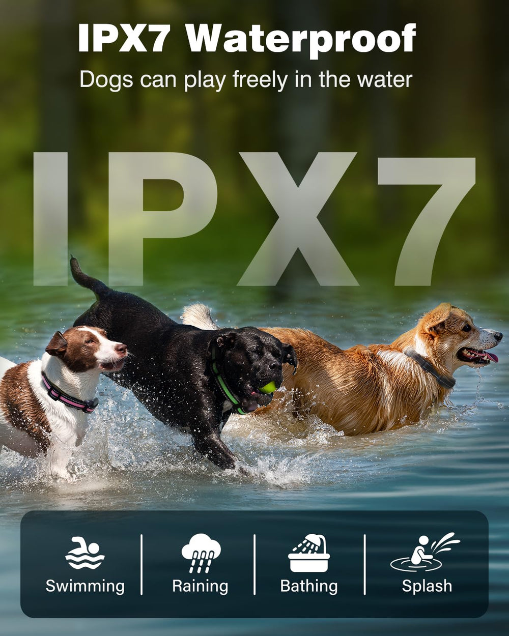 PETURE IP67 waterproof dog collar ready for rain, mud and swimming.